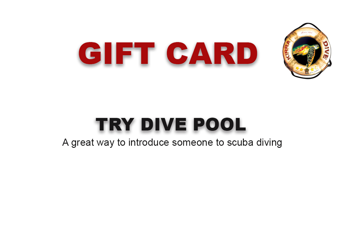 Try Dive Pool